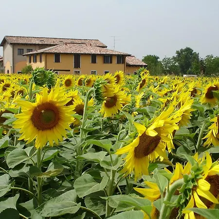 Del Rio Srl - Ristorante E Azienda Agricola