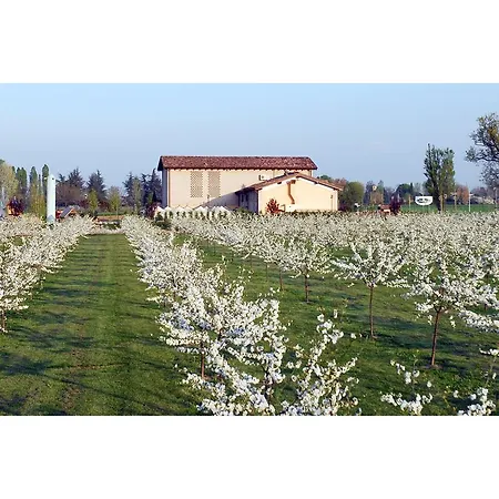 Del Rio Srl - Ristorante E Azienda Agricola 3* Casinalbo