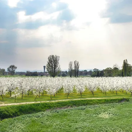 Hotel Del Rio Srl - Ristorante E Azienda Agricola Casinalbo