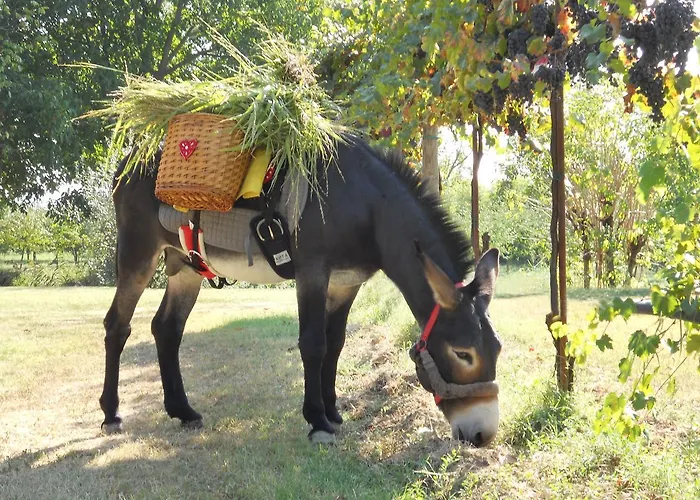 Del Rio Srl - Ristorante E Azienda Agricola 3*