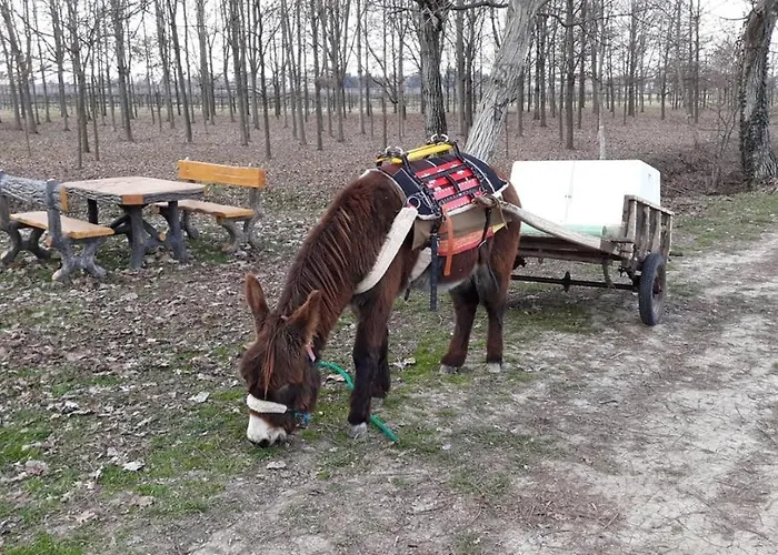 Del Rio Srl - Ristorante E Azienda Agricola Ξενοδοχείο 3*