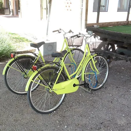 Del Rio Srl - Ristorante E Azienda Agricola 3* Casinalbo