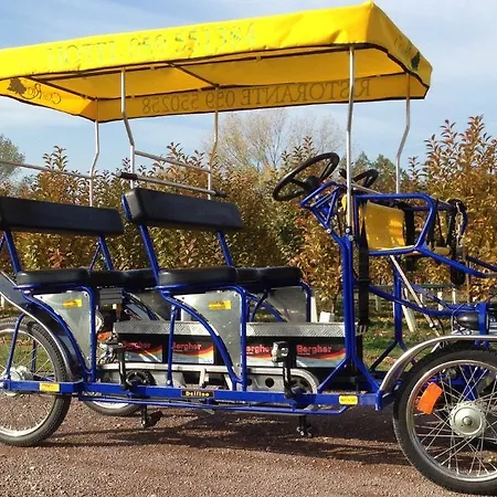 Del Rio Srl - Ristorante E Azienda Agricola ホテル Casinalbo