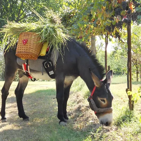 Del Rio Srl - Ristorante E Azienda Agricola 3*