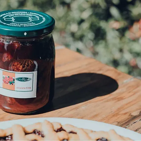 ホテル Del Rio Srl - Ristorante E Azienda Agricola Casinalbo