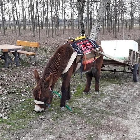 Del Rio Srl - Ristorante E Azienda Agricola ホテル 3*