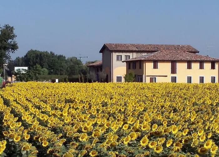 Hotel Del Rio Srl - Ristorante E Azienda Agricola 3*
