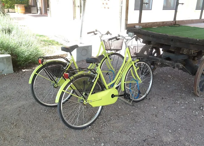 Del Rio Srl - Ristorante E Azienda Agricola 3* Casinalbo